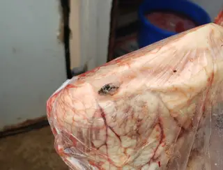 Homem é preso por vender carne imprópria para o consumo humano em Bataguassu