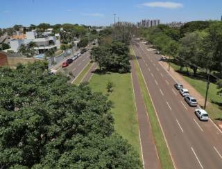 Prefeitura de Campo Grande lança Painel Digital de Árvores Urbanas