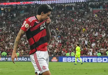 Pilhado se empolga com vitória do Flamengo sobre o Palmeiras: 