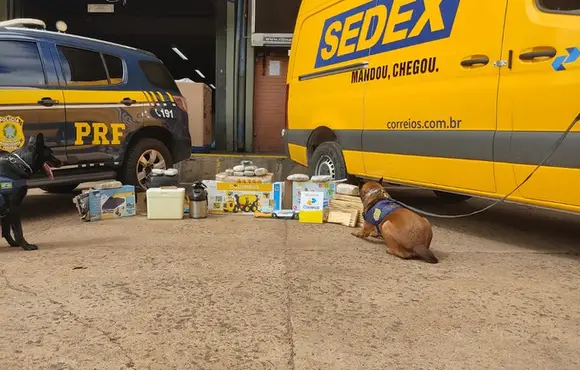 PRF e Correios realizam operação na Capital com auxílio de cães de faro