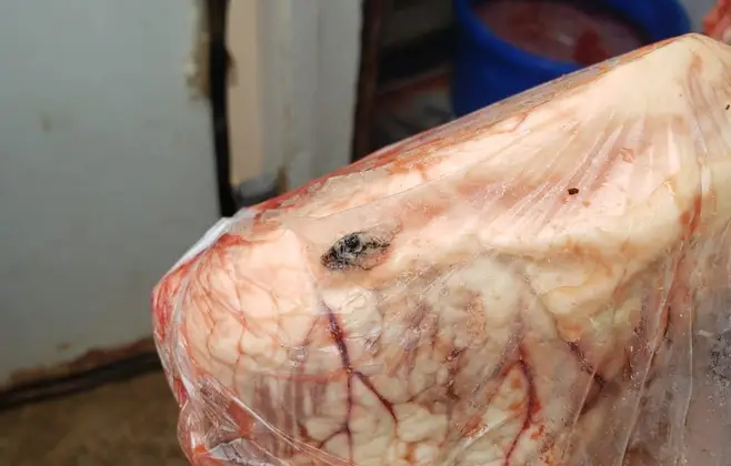 Homem é preso por vender carne imprópria para o consumo humano em Bataguassu